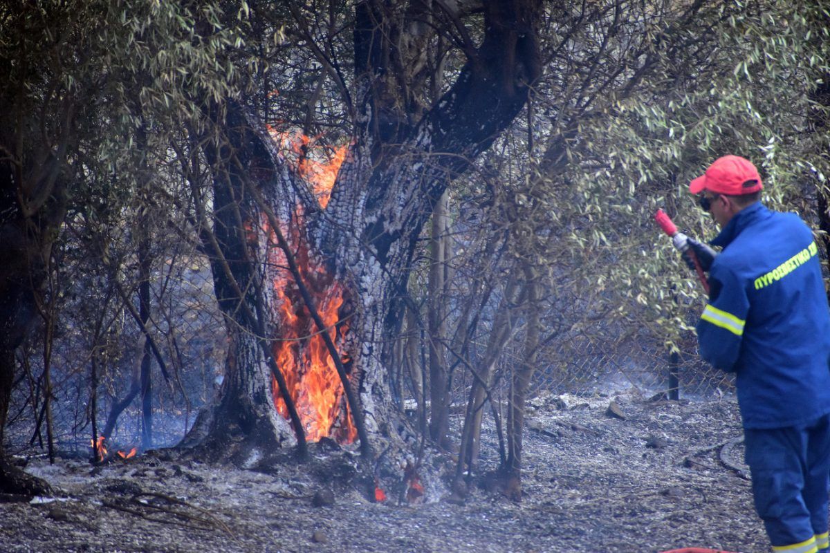 Φωτιά στον Ασπρόπυργο – Κινητοποιήθηκαν εναέρια μέσα