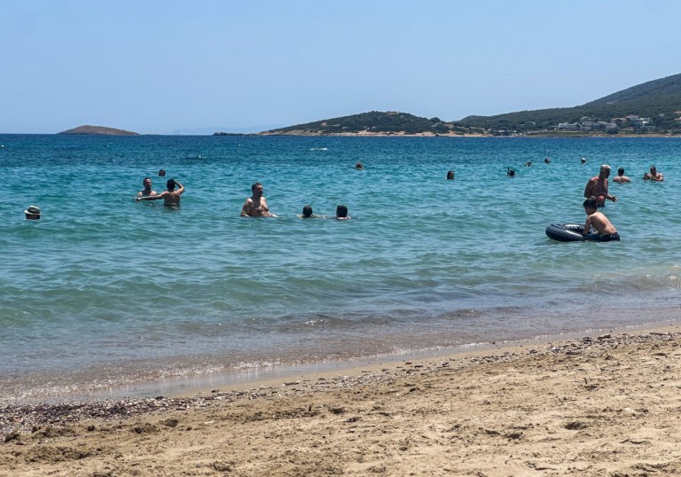 Το καλοκαίρι ήρθε και οι σαρκοφάγες θαλάσσιες ανεμώνες καραδοκούν – Πώς θα προστατευτείτε