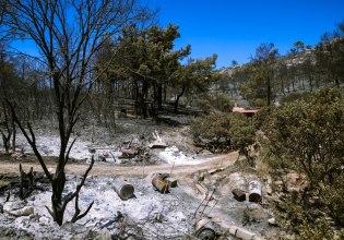 Χίος: Ανησυχία για τις επιπτώσεις της φωτιάς – Οι πολλαπλά καμένες εκτάσεις και οι προστατευόμενες περιοχές