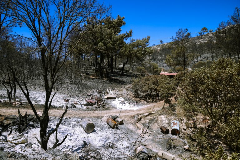 Χίος: Ανησυχία για τις επιπτώσεις της φωτιάς – Οι πολλαπλά καμένες εκτάσεις και οι προστατευόμενες περιοχές