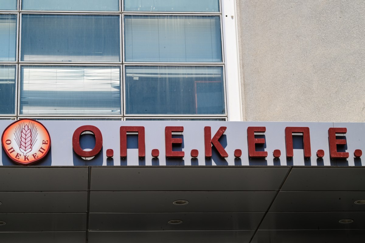 Τσουκαλάς: Σκάνδαλο στον ΟΠΕΚΕΠΕ με οργάνωση, εγκέφαλο σε βάρος του λαού – Αυτός ο διασυρμός δεν τιμά τη χώρα