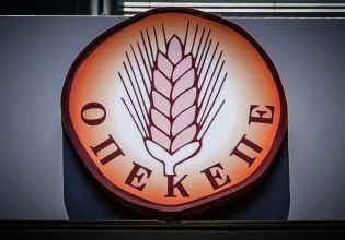 Δίκη ΟΠΕΚΕΠΕ: Καταπέλτης η ευρωπαία εισαγγελέας για τους 7 – Ζήτησε την ενοχή τους