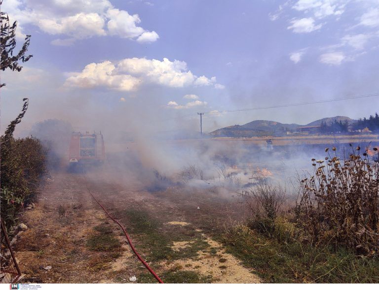 Φωτιά τώρα στην Ανάβυσσο – Επιχειρούν έξι εναέρια