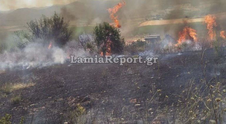 Δομοκός: Συναγερμός για φωτιά – Και εναέρια μέσα στη μάχη της κατάσβεσης