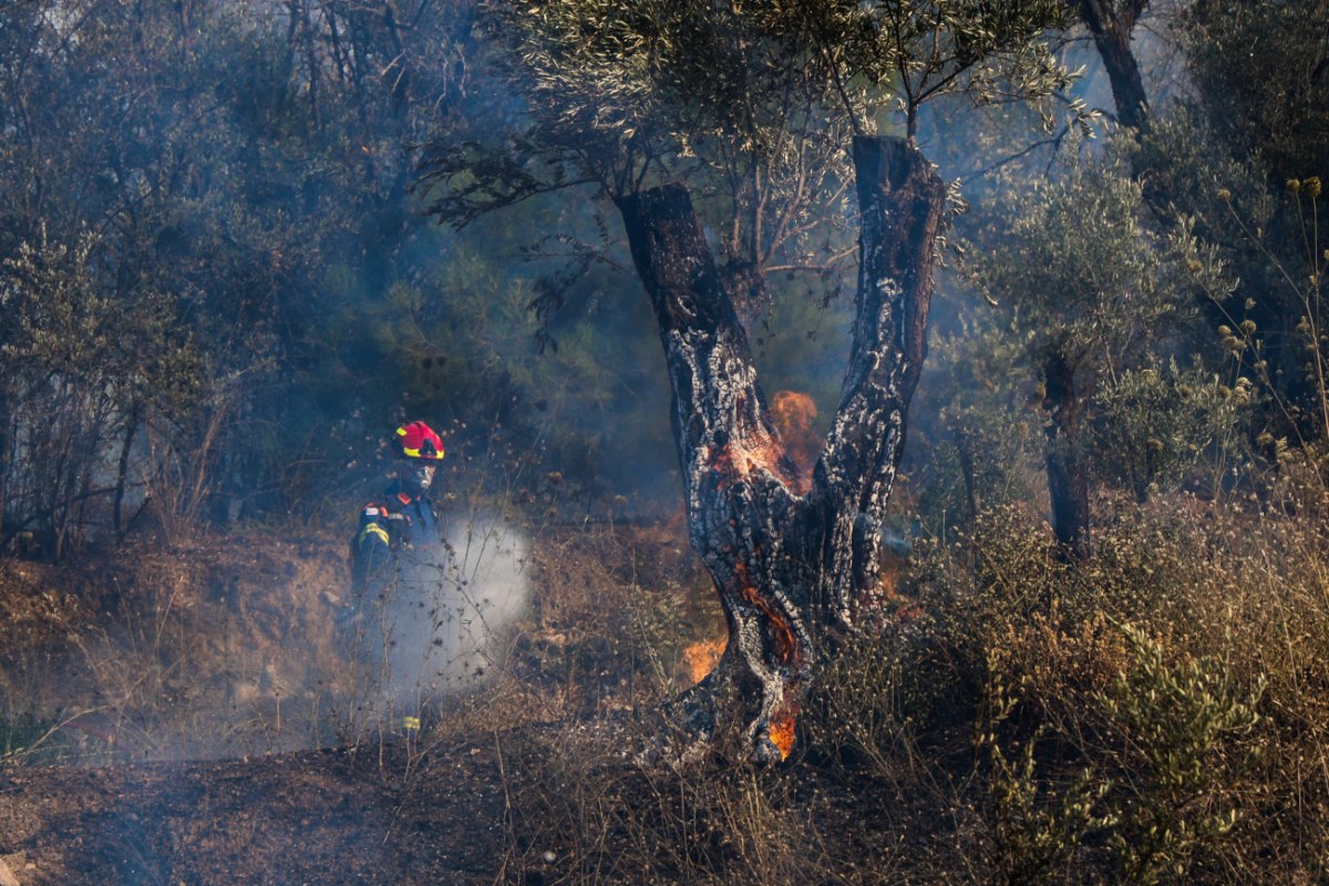Χίος: Σχεδόν 600 πυροσβέστες παλεύουν με την φωτιά