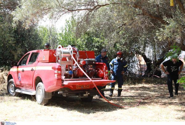 Φωτιά τώρα στο Ωραιόκαστρο Θεσσαλονίκης – Σηκώθηκαν 5 εναέρια μέσα