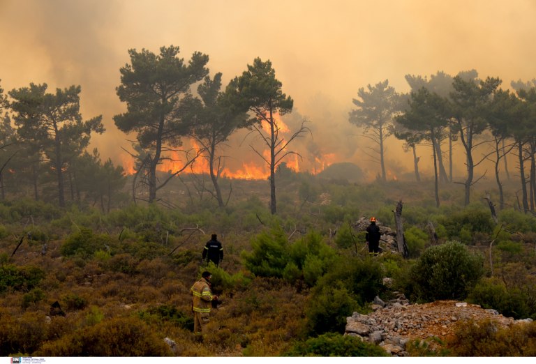 Χίος: Πυρομετεωρολογική ενημέρωση για τις δασικές πυρκαγιές
