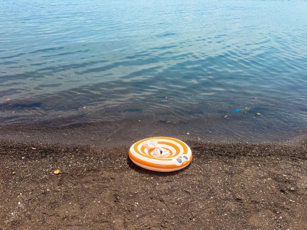 Ηλεία: Ένας 38χρονος προσπάθησε να βιάσει τουρίστρια – Βγήκε γυμνός από την θάλασσα και της όρμησε