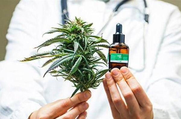 Αποκάλυψη Inside Story: Τα πολλά ερωτήματα για τη φαρμακευτική κάνναβη στην Ελλάδα