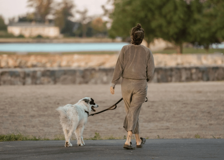 Βόλτα και σκύλος: Τι πρέπει να προσέχετε κατά τους θερινούς μήνες