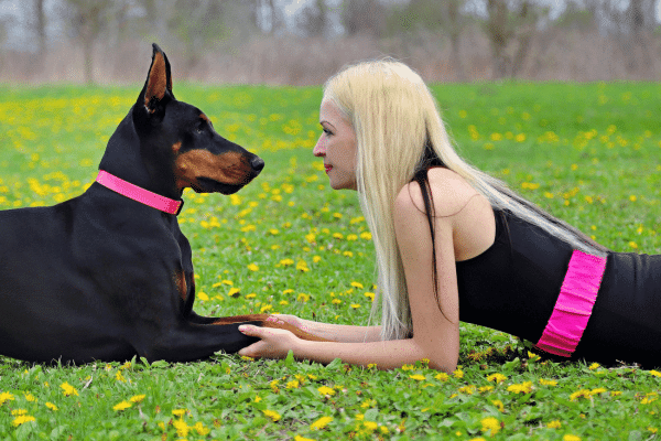 Οι μεγαλόσωμες φυλές σκύλων: Ιδιαιτερότητες που απαιτούν ειδική φροντίδα