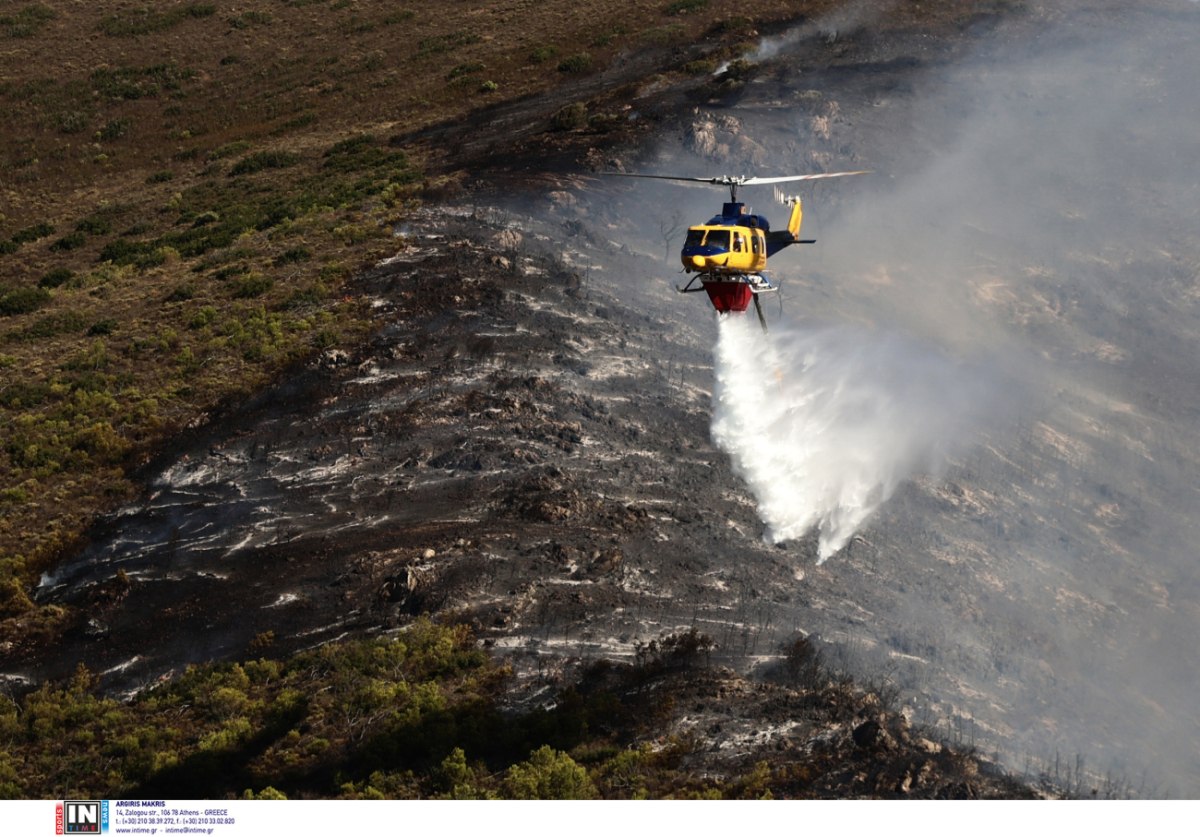 Φωτιά στη Στεφάνη Βοιωτίας – Επιχειρούν εναέρια μέσα