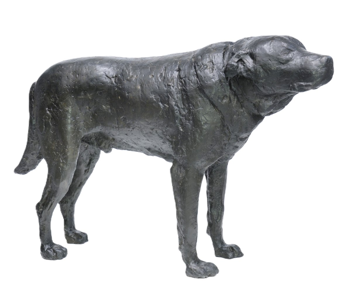 Ιούλιος στην Εθνική Πινακοθήκη: Έκθέσεις, Ξεναγήσεις, Εκπαιδευτικά Προγράμματα