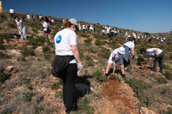 Μια συνεργασία με ουσία: P&G και WWF Ελλάς ενώνουν δυνάμεις σε κοινή δράση για τα δάση μας
