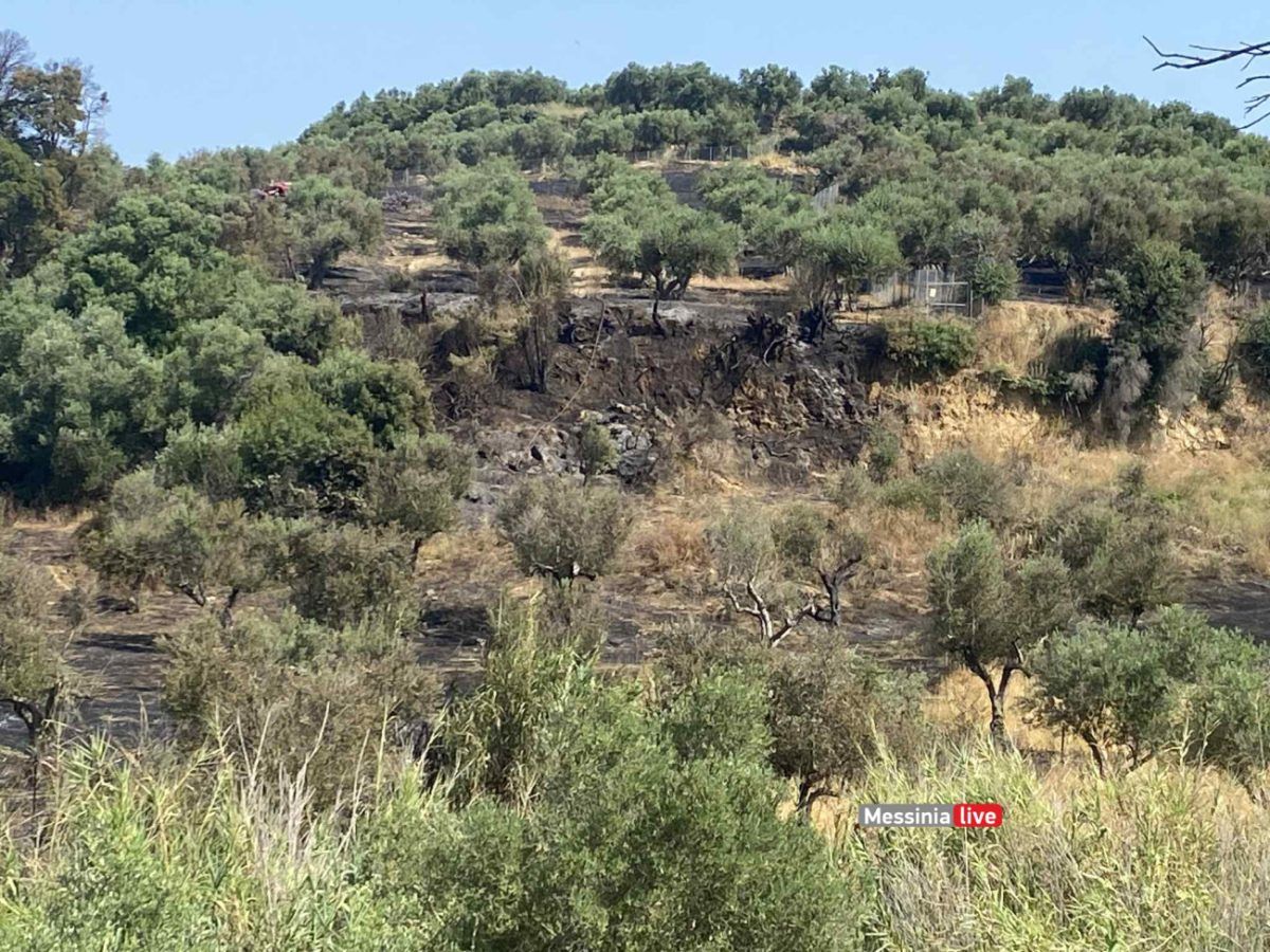 Μεσσηνία: Υπό πλήρη έλεγχο η φωτιά στο Χαροκοπιό