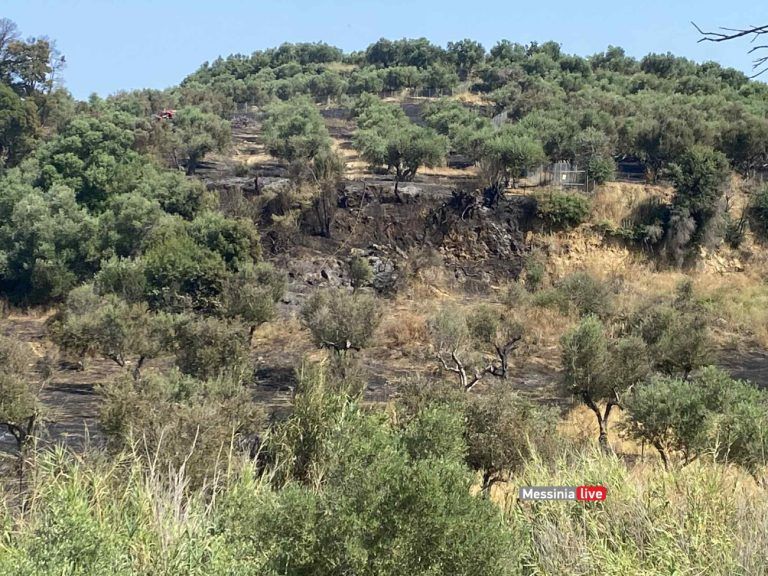 Μεσσηνία: Υπό πλήρη έλεγχο η φωτιά στο Χαροκοπιό