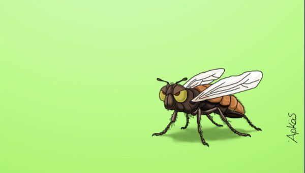 Αρκάς: Η καλημέρα της Τρίτης