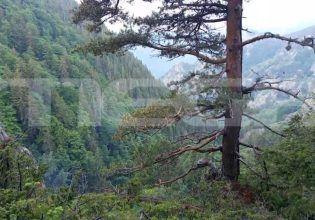 Δράμα: «Υπάρχουν τα ίχνη της αρκούδας στο σημείο» λέει εθελοντής – Τι είδε ο ιατροδικαστής που εξέτασε το πτώμα