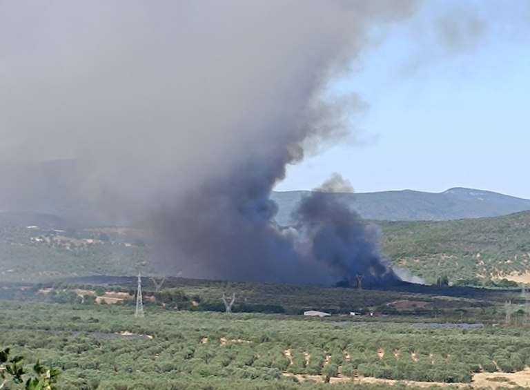 Στυλίδα: Φωτιά στην περιοχή Αχλάδι – Ήχησε το 112