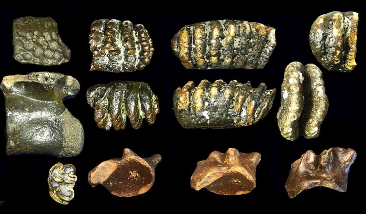 Ανθρώπινα απολιθώματα ενός χαμένου κόσμου βρέθηκαν σε τεχνητό νησί