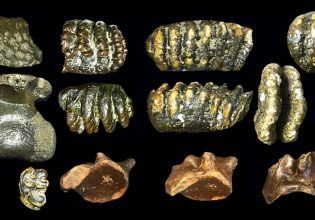 Ανθρώπινα απολιθώματα ενός χαμένου κόσμου βρέθηκαν σε τεχνητό νησί