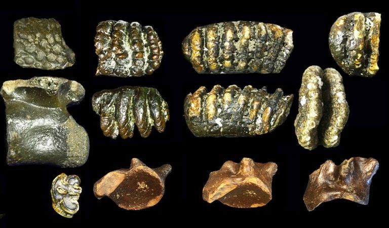 Ανθρώπινα απολιθώματα ενός χαμένου κόσμου βρέθηκαν σε τεχνητό νησί