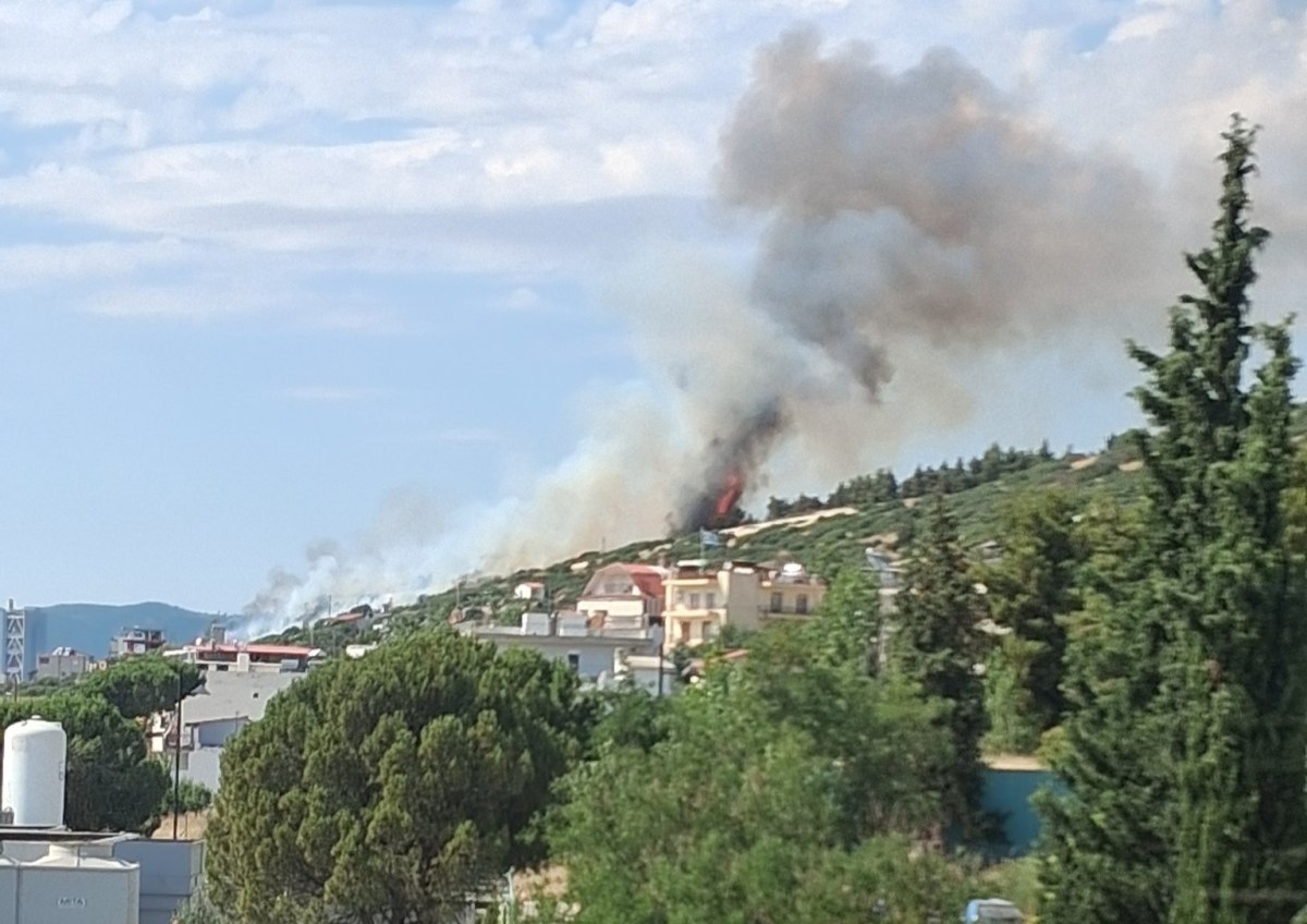 Θεσσαλονίκη: Φωτιά πίσω από το νοσοκομείο Παπαγεωργίου – Ήχησε το 112