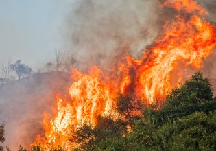 Πυρκαγιές: Κλείνουν τα άλση και τα πάρκα στις περιοχές πολύ υψηλής επικινδυνότητας