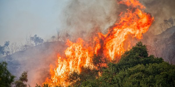 Πυρκαγιές: Κλείνουν τα άλση και τα πάρκα στις περιοχές πολύ υψηλής επικινδυνότητας