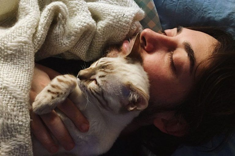 Ύπνος: Αν νιώθετε μόνοι, θυμηθείτε ότι τα ακάρεα είναι πάντα εκεί και… καλοπερνάνε