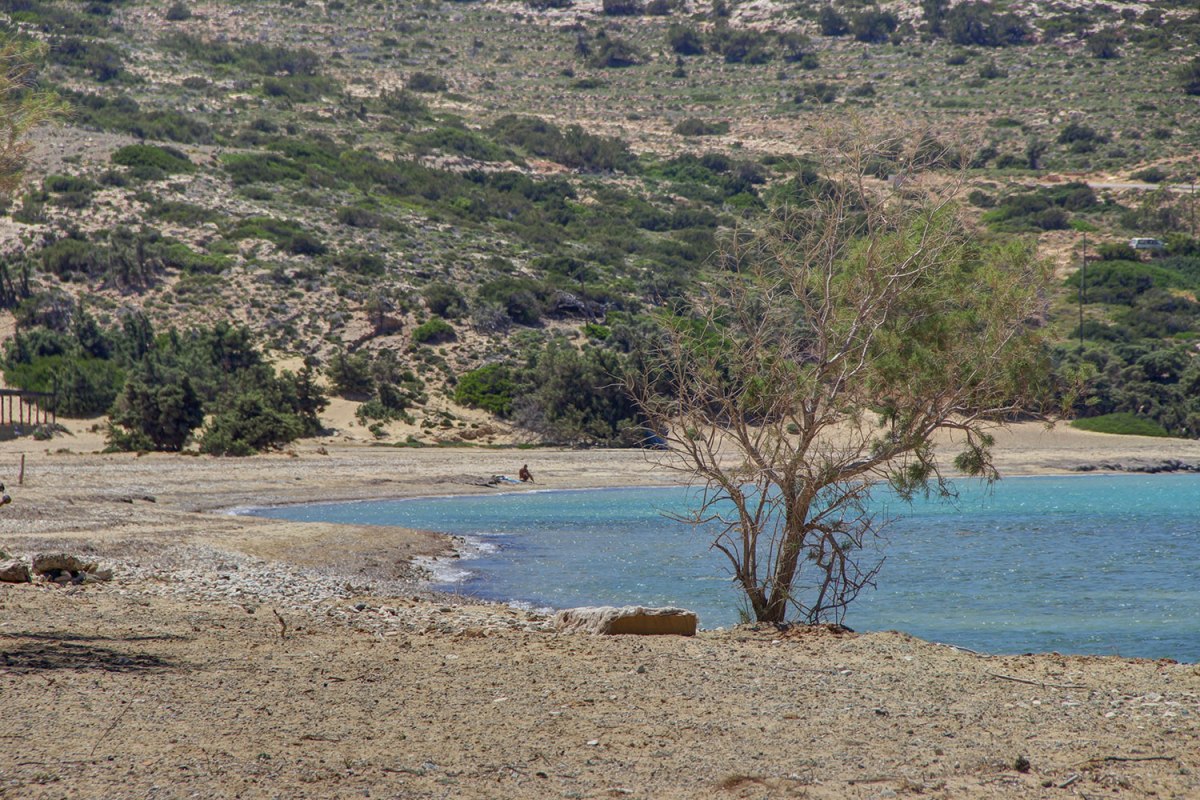 Γαύδος: Τουρίστες βρήκαν σε παραλία πτώμα σε προχωρημένη σήψη
