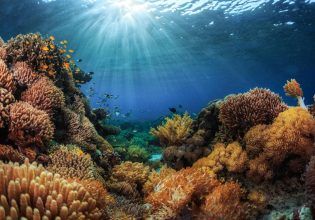 Ωκεανοί: Πελώρια έλλειψη κεφαλαίων που απαιτούται για την προστασία τους