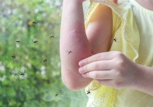 ΕΟΔΥ: Προφυλαχθείτε από τα κουνούπια και από τον ιό του Δυτικού Νείλου