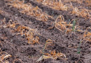 Ποιες περιοχές της Ελλάδας απειλούνται περισσότερο από ξηρασία