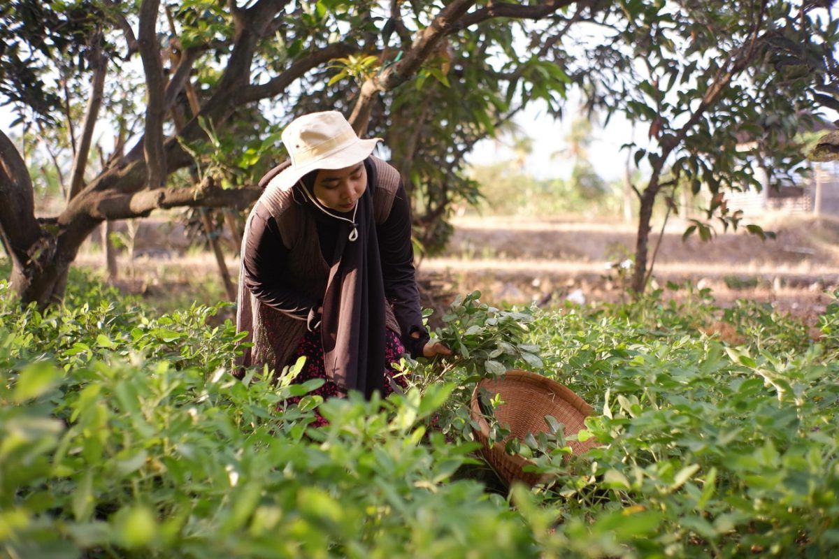 Ισραήλ: Η μεγαλύτερη ομάδα αλλοδαπών ομήρων της Χαμάς ήταν Ταϊλανδοί αγρότες
