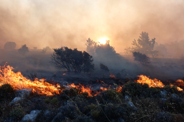 Κοζάνη: Φωτιά στον Άργιλο – Εκκένωση του πανεπιστημίου και μήνυμα του 112