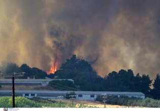Εύβοια: Κάηκαν χιλιάδες ζώα – Ολοκληρωτική καταστροφή σε κτηνοτροφικές μονάδες και στάβλους
