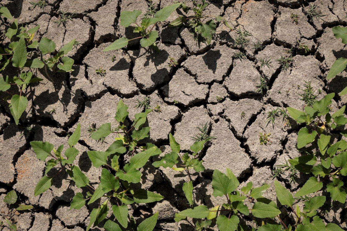 Κλειστοί αρχαιολογικοί χώροι και παύση εργασίας ελέω καύσωνα που έπληξε την Ελλάδα και τα Βαλκάνια