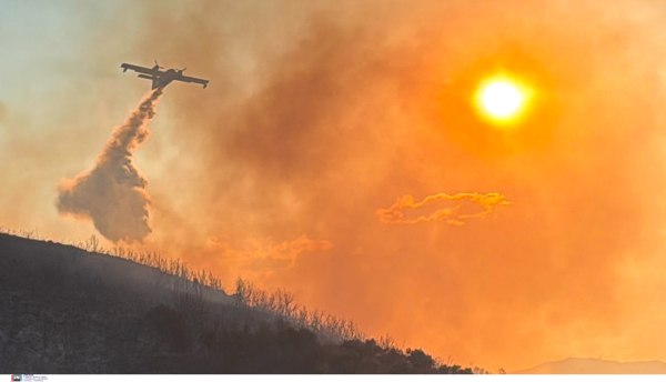 Πώς ξεκινά και πως εξαπλώνεται μια δασική φωτιά – Νέο εκπαιδευτικό βίντεο του meteo