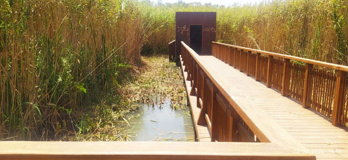 Δημιουργία αντιπυρικής ζώνης στο Έλος Αγυιάς του Δήμου Πατρέων