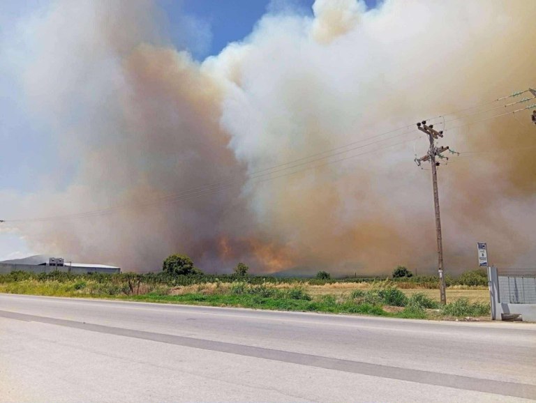 Φωτιά στην Αγιά Λάρισας – Ήχησε το 112