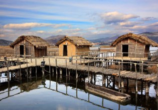 Κλειστός οικισμός λόγω εμφάνισης αρκούδων