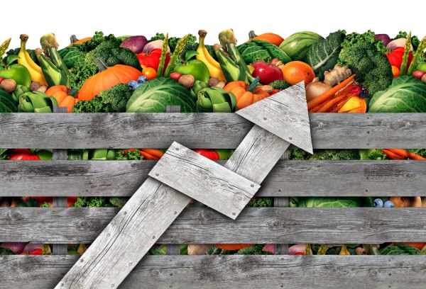 ΠΑΣΟΚ: Ρεκόρ ακρίβειας με κυβερνητική υπογραφή