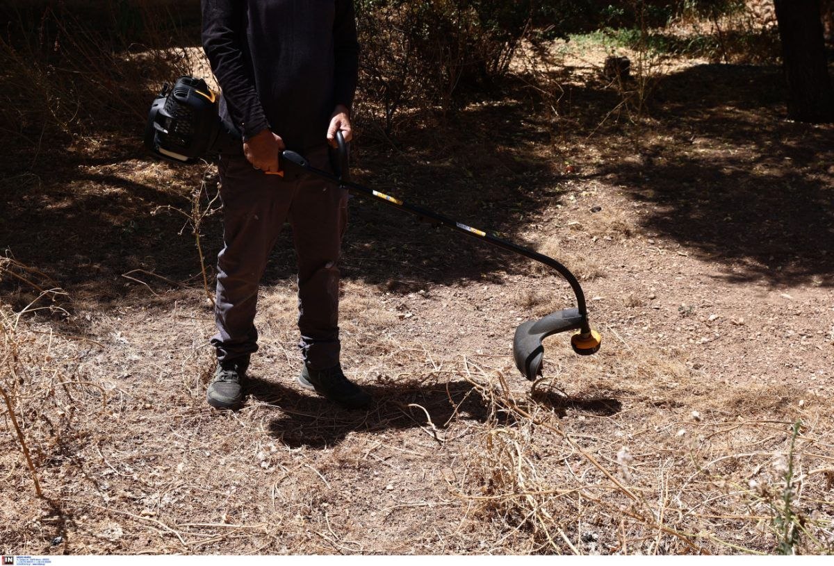 Ακαθάριστα οικόπεδα: Πάνω από 3.000 οι καταγγελίες – Ξεκίνησαν οι έλεγχοι