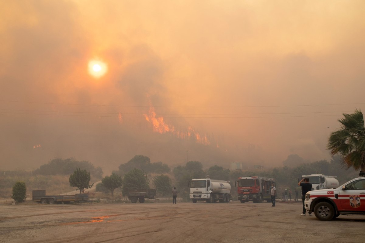 Δασική πυρκαγιά στη Σμύρνη: Ένας κατάκοιτος 81χρονος έχασε τη ζωή του