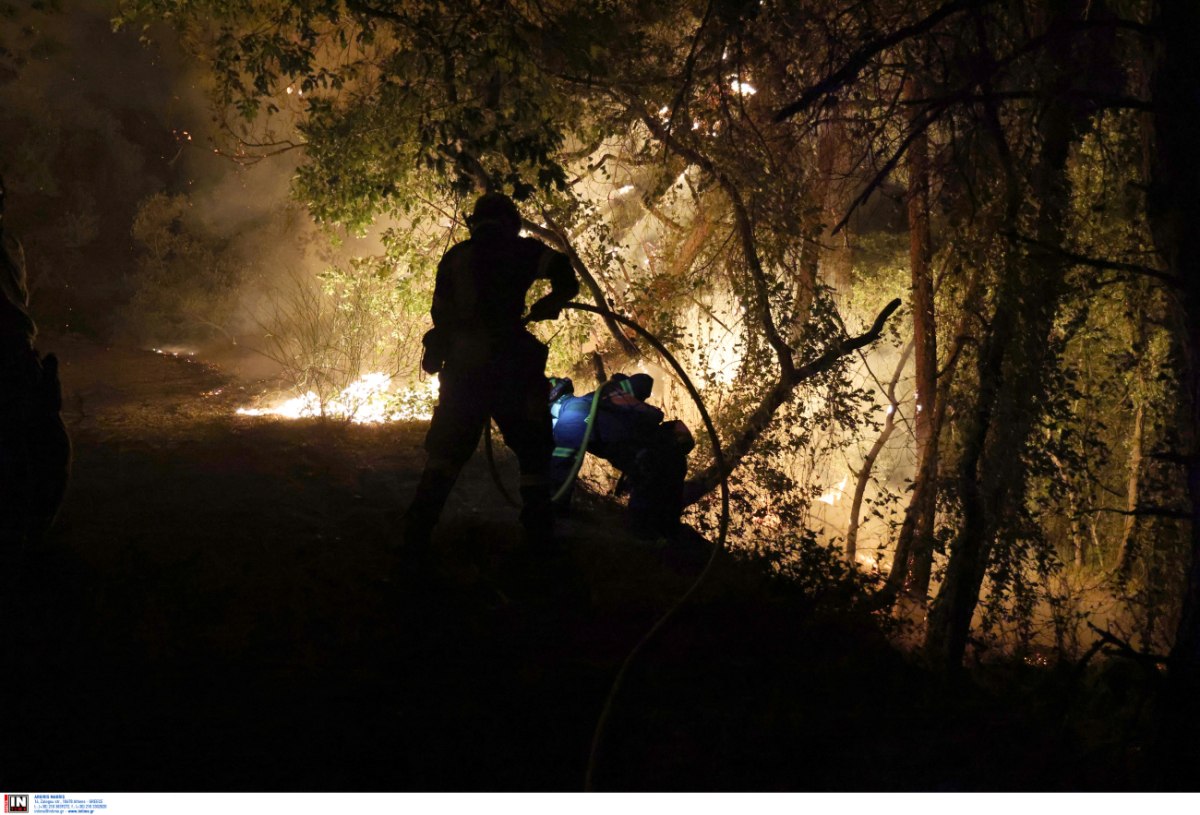 Εύβοια: Συνελήφθη 52χρονος για την φωτιά