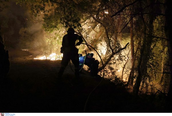 Εύβοια: Συνελήφθη 52χρονος για την φωτιά
