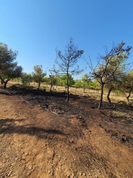 Η ευγνωμοσύνη του δημάρχου Γαλατσίου προς τους υπαλλήλους που εμπόδισαν μια πυρκαγιά να λάβει διαστάσεις