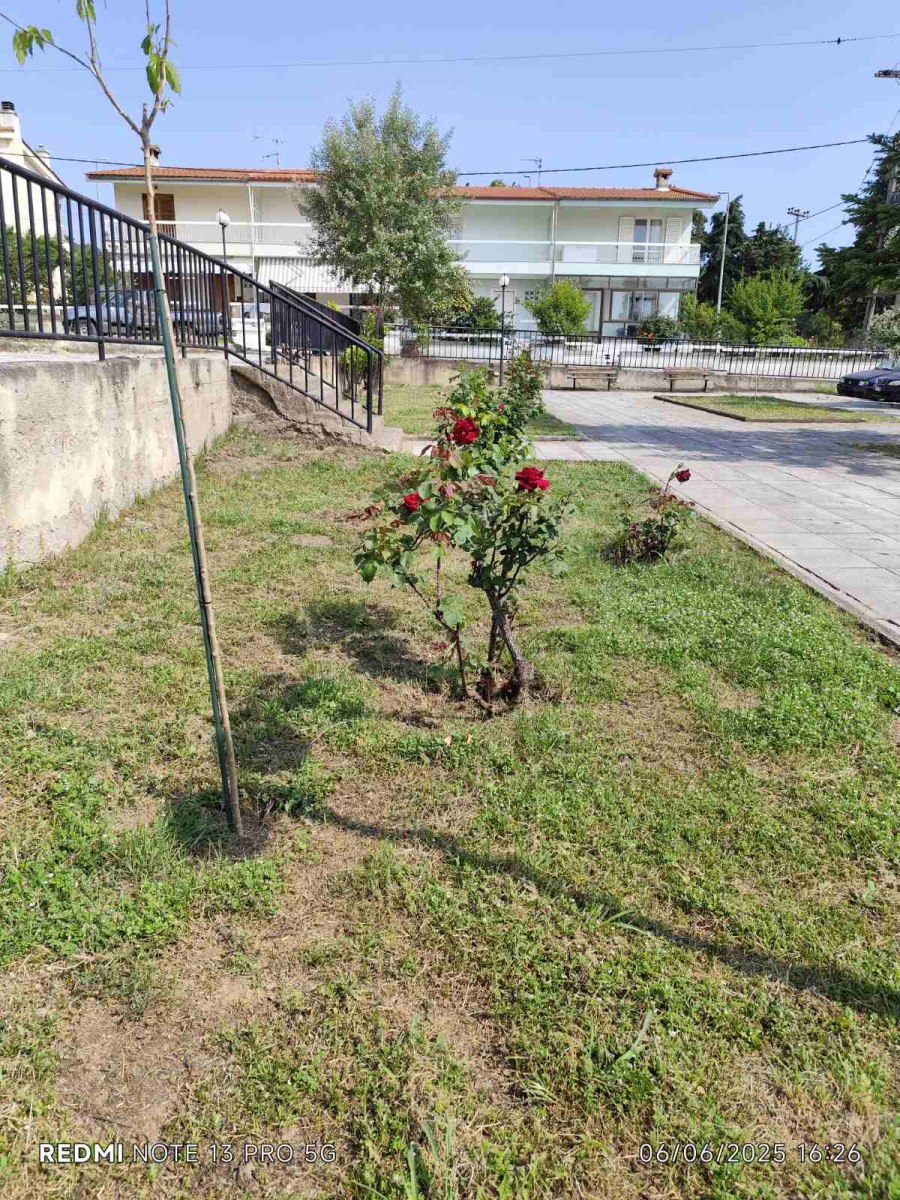 Τιμήθηκαν οι εθελοντές «μικροί κηπουροί» στο Δήμο Πολυγύρου