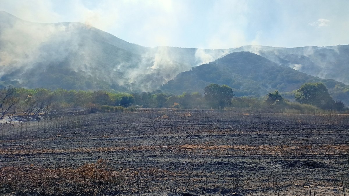 Σε ύφεση η φωτιά στη Φλώρινα – Ενισχύθηκαν οι πυροσβεστικές δυνάμεις